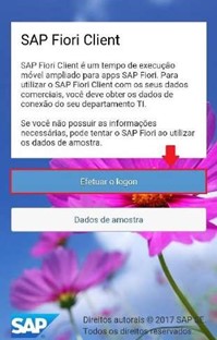 Imagem2.jpg