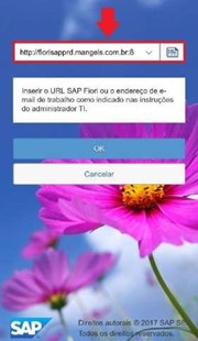 Imagem3.jpg